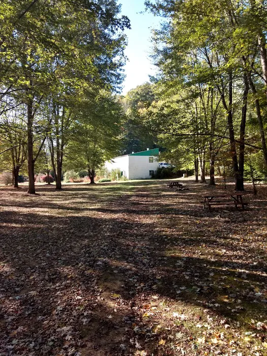 Meadow Fork Campground Picture 8