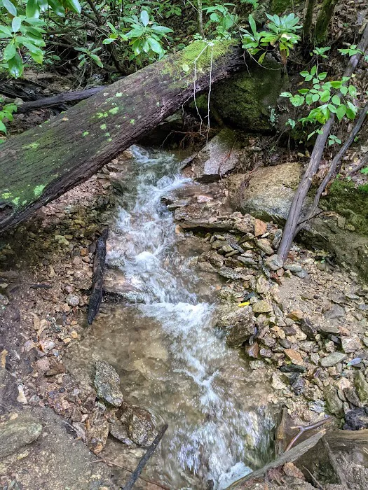 Firefly Cabin Picture 10