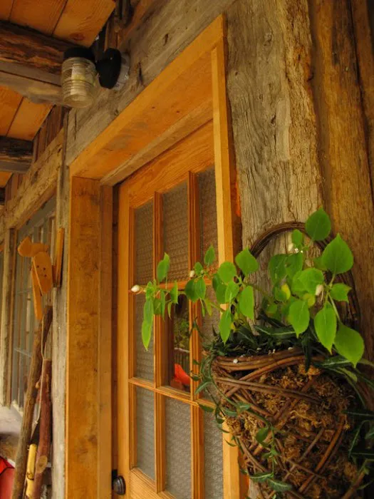 Green Heart Forest Picture 4