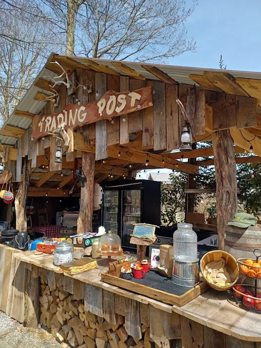 Green Heart Forest Picture 1