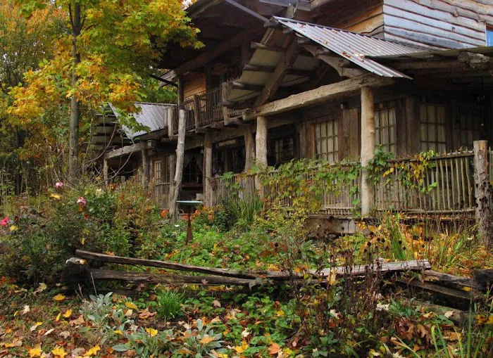 Green Heart Forest Picture 5