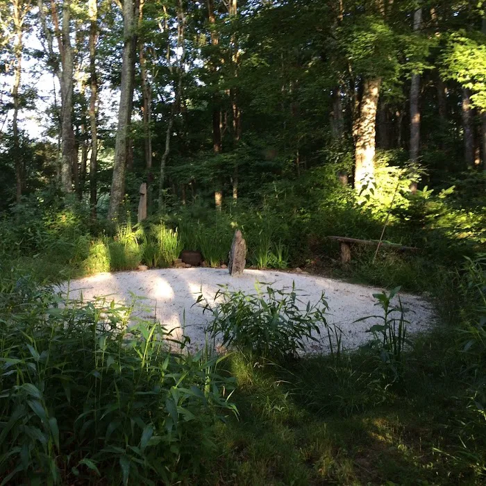 Green Heart Forest Picture 2