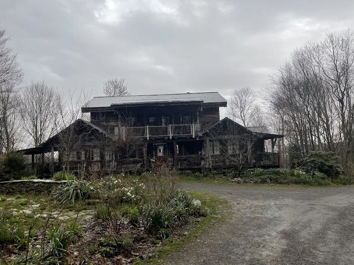 Green Heart Forest Picture 7