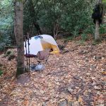 Roaring Fork Shelter