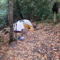 Roaring Fork Shelter ico