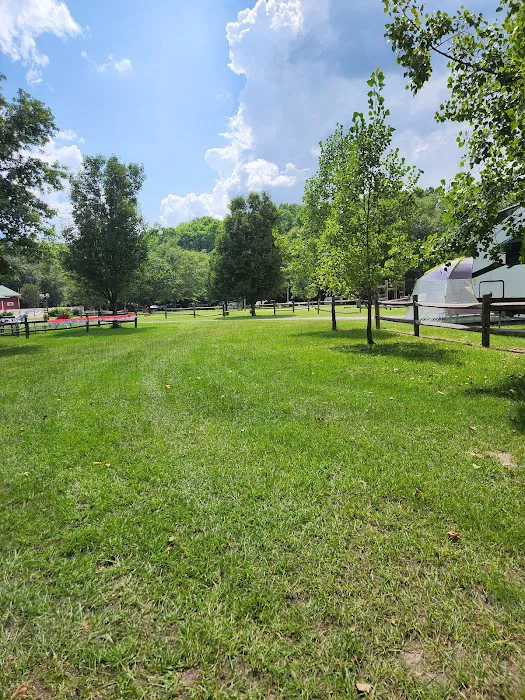 River Bottom Farms Family Campground Picture 2