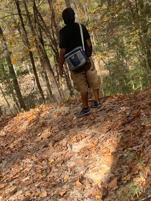 Poinsett Park Campground Picture 3