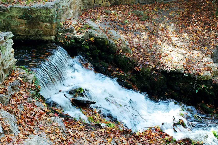 Poinsett Park Campground Picture 6