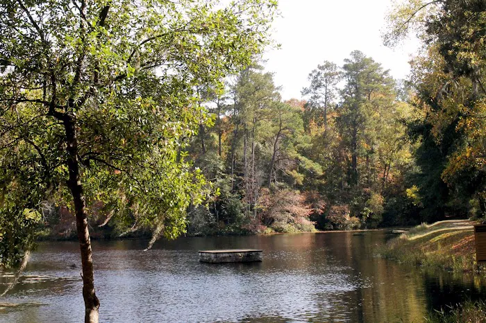 Poinsett Park Campground Picture 5