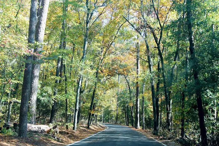 Poinsett Park Campground Picture 9