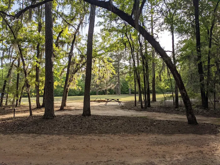 Poinsett Park Campground Picture 8