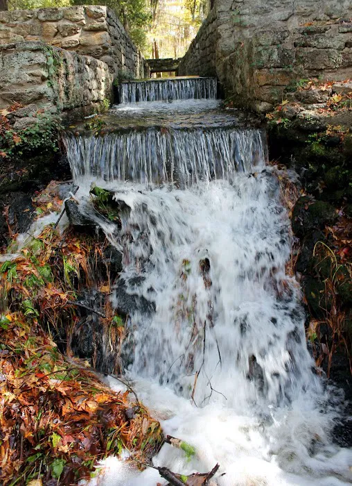 Poinsett Park Campground Picture 7