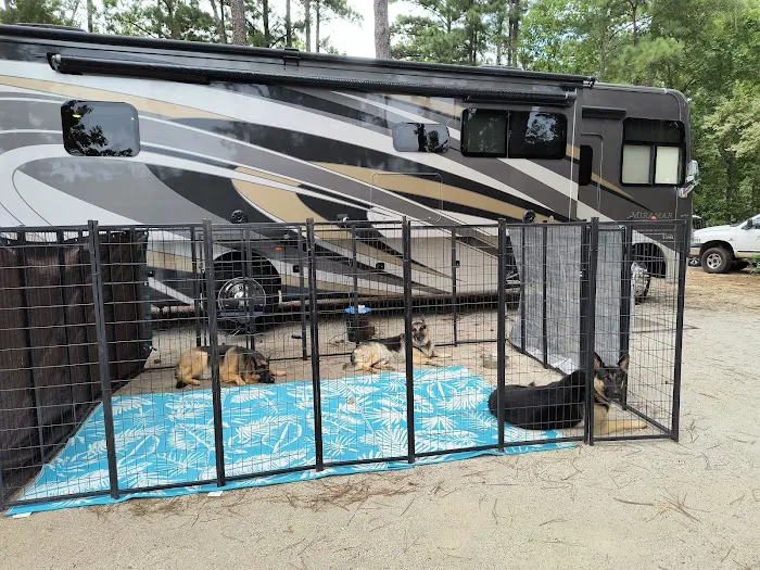 US Army Corps of Engineers Picture 7