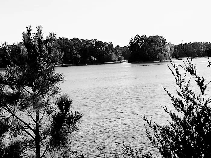 US Army Corps of Engineers Picture 6