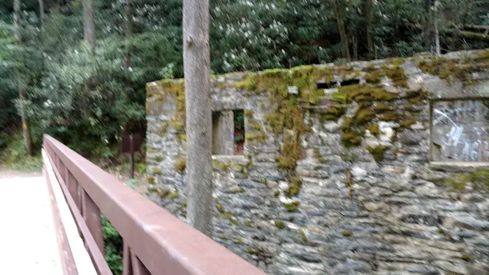 VA Campground Picture 1