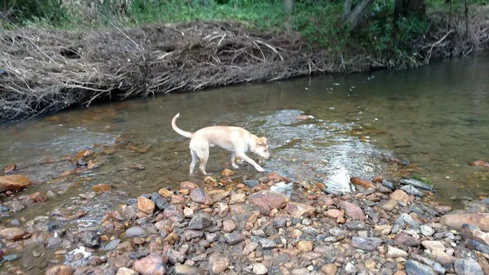 VA Campground Picture 4