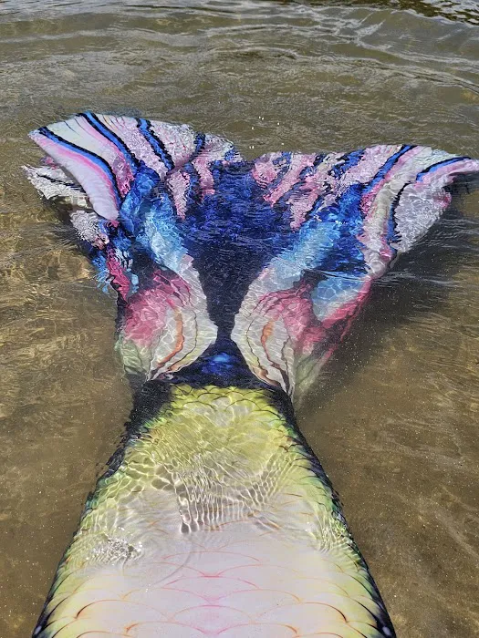 LAKE SPRINGS Picture 5