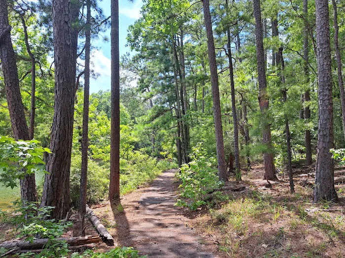 LAKE SPRINGS Picture 2