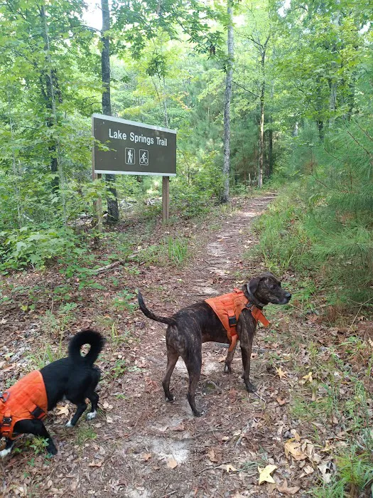 LAKE SPRINGS Picture 6