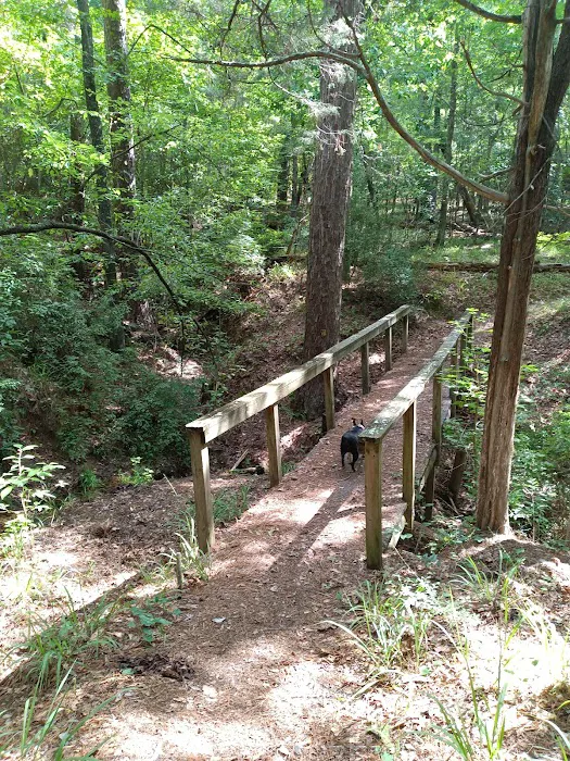 LAKE SPRINGS Picture 8