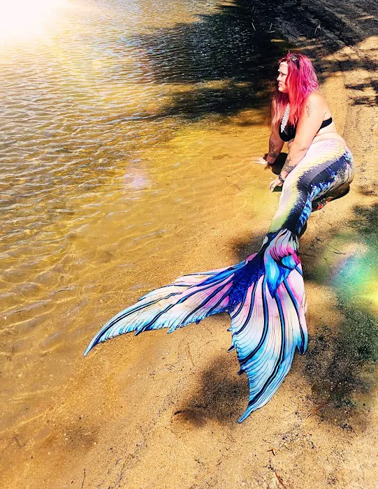 LAKE SPRINGS Picture 7