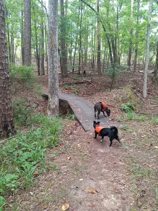 LAKE SPRINGS Picture 4