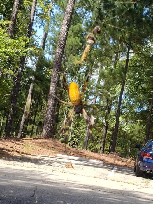 LAKE SPRINGS Picture 1