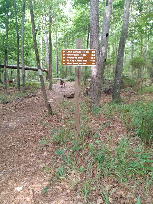 LAKE SPRINGS Picture 9