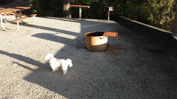 US Corps of Engineers Ridge Rd. Campground Picture 9