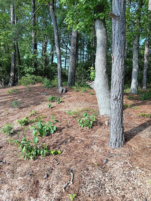 Ridge Road Campground Picture 7