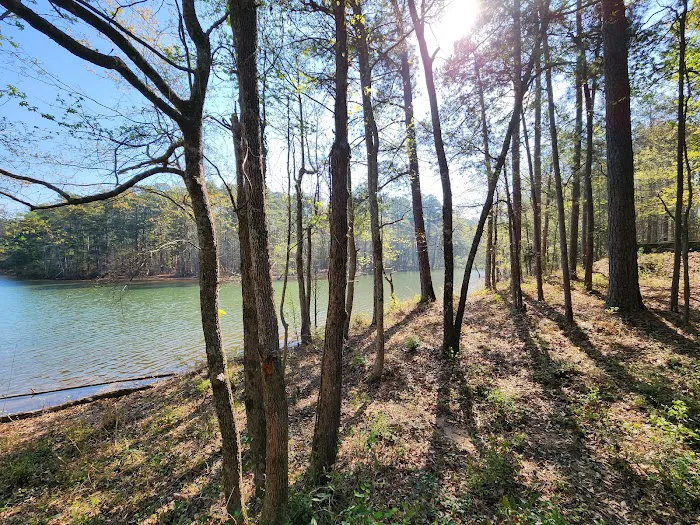 Petersburg Campground Picture 2