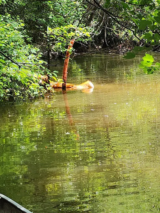 Wood Widgeon Farm Picture 4