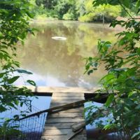 Wood Widgeon Farm ico