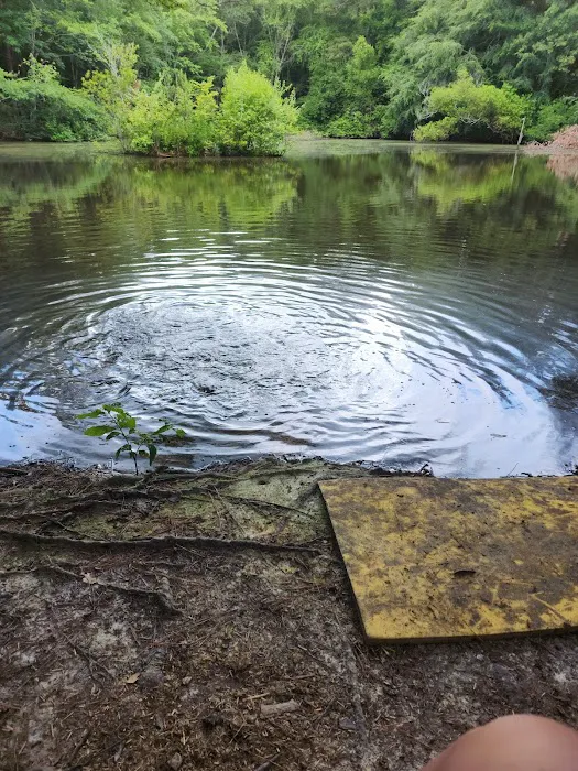 Wood Widgeon Farm Picture 5