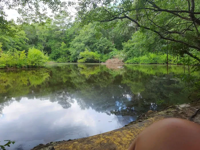 Wood Widgeon Farm Picture 2