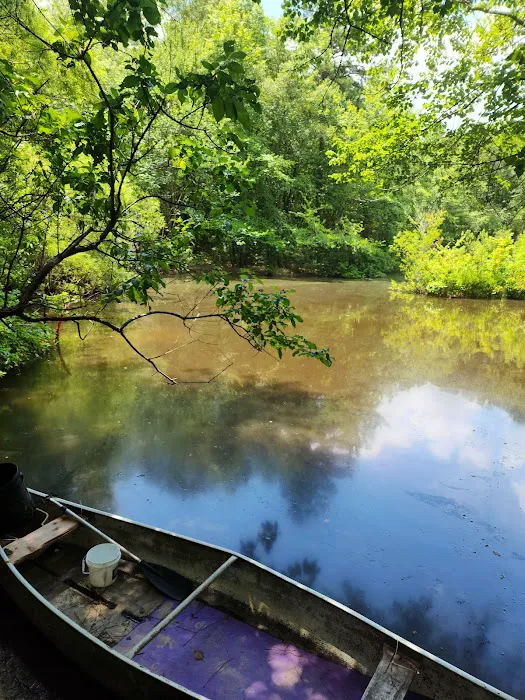 Wood Widgeon Farm Picture 3