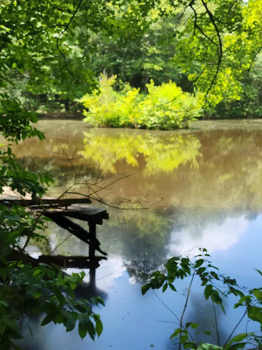 Wood Widgeon Farm Picture 6