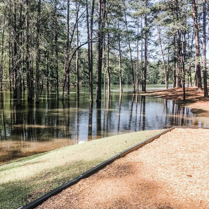 Timberline Glamping at Clarks Hill Lake Picture 4