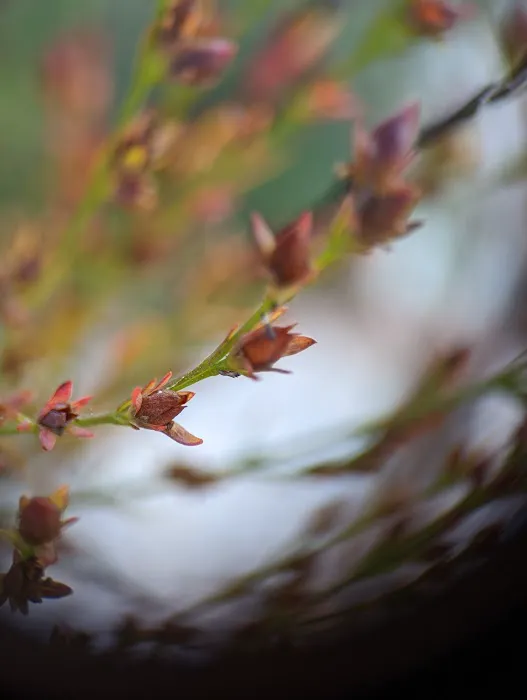 Point Pavilion Picture 2