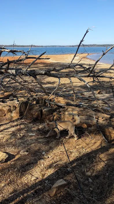 Point Pavilion Picture 6