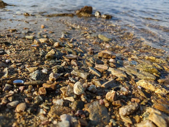 Point Pavilion Picture 1