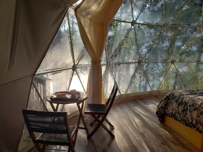 Beaveria Dome Picture 3