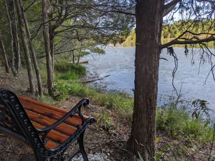 Beaveria Dome Picture 6