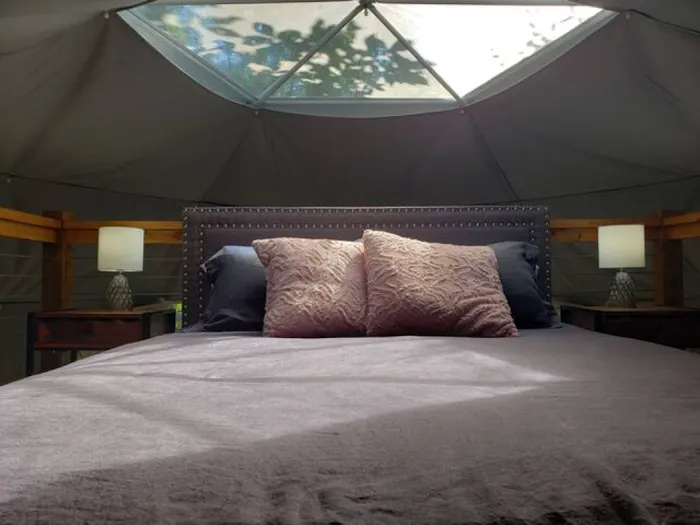 Beaveria Dome Picture 10