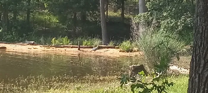 Baker Creek State Park Campground Picture 9