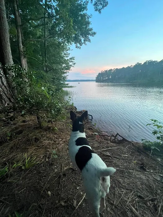 Hester's Bottoms Family Campground Picture 9