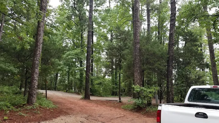 Hawe Creek Picture 2