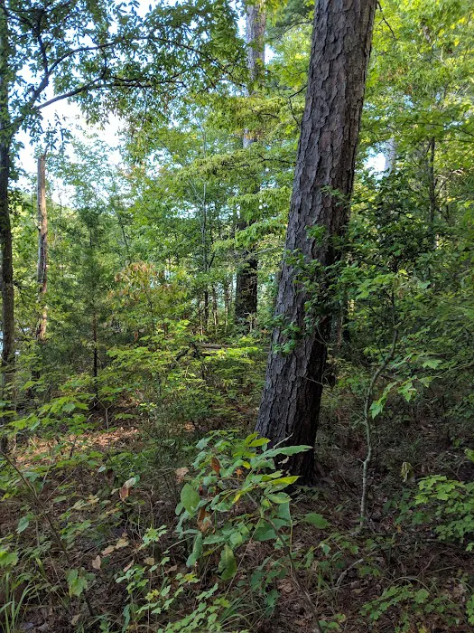 Hawe Creek Picture 6