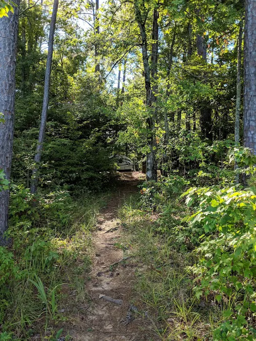 Hawe Creek Picture 7