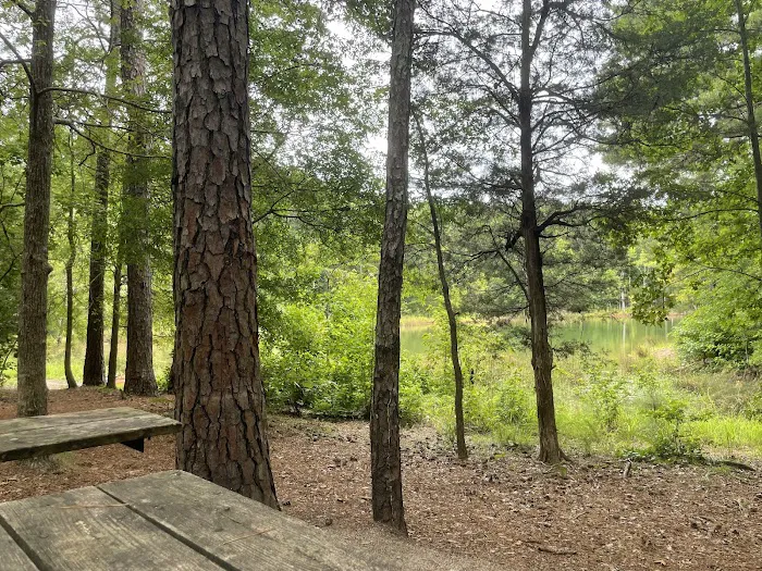 Calhoun Falls Campground Picture 2